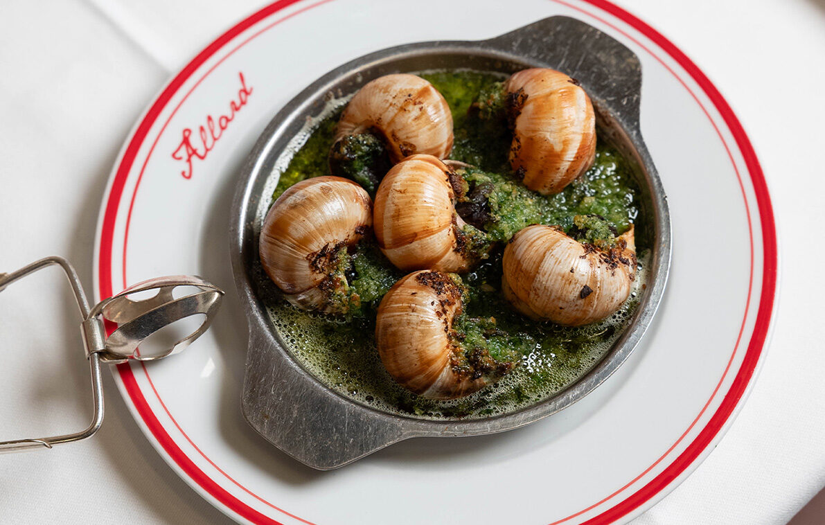 Escargots-en-coquilles_Allard