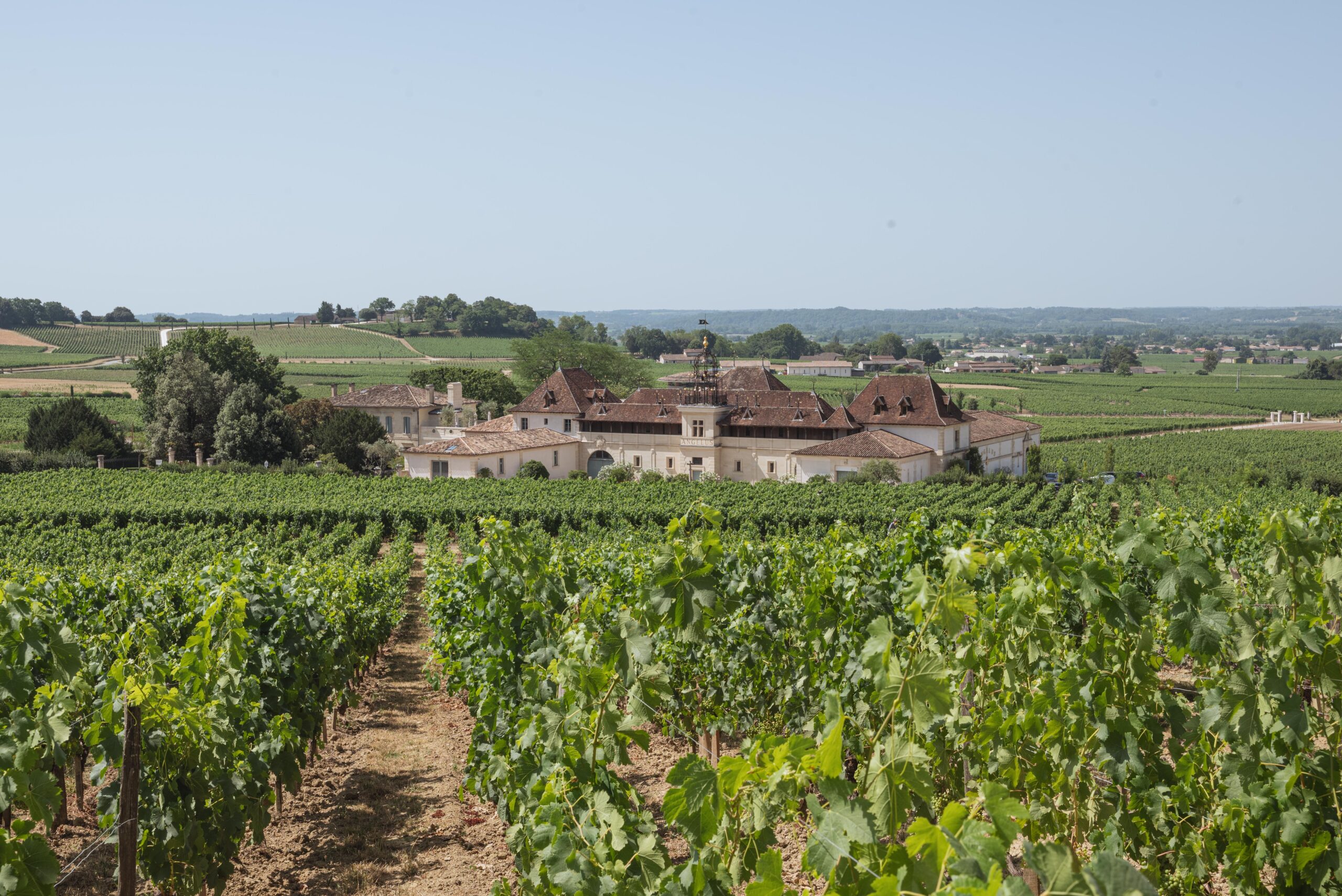 Domaine-Angelus